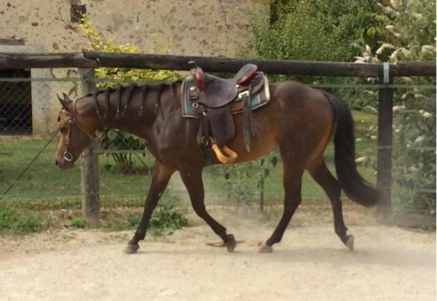 La Mini Ferme De Maelou Villa Sermaises Dış mekan fotoğraf